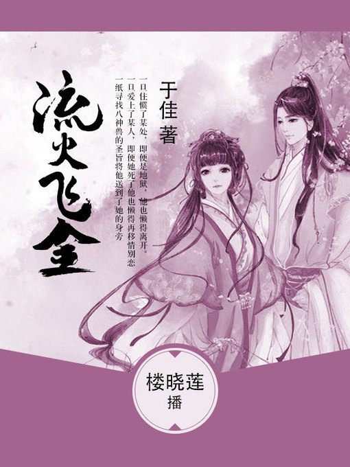 Cover image for 流火飞金